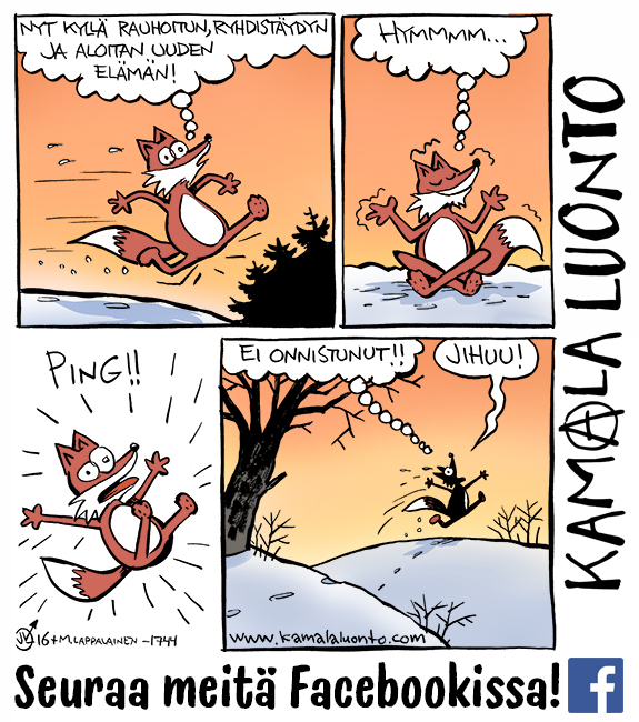 kamala_luonto_FB_1744